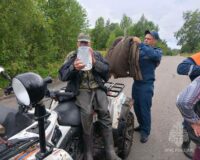 В Новгородской области пенсионер блуждал по лесу больше недели