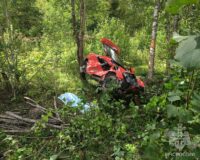 В Новгородской области автомобиль разбился от удара о дерево