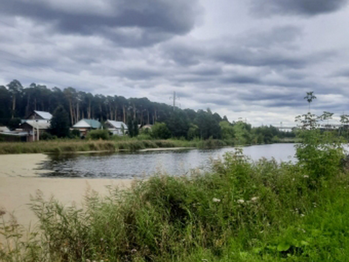 водоем в шадринске