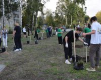 В Иванове на улице Парижской Коммуны открыли новый сквер