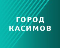 В Касимове Рязанской области в этом году создадут Школу гидов