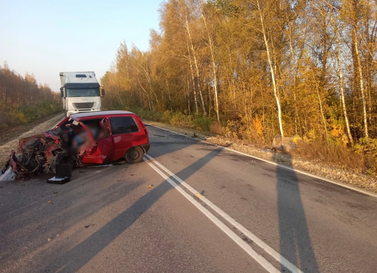 В Тульской области «Ока» выехала на встречку и протаранила «Ладу»