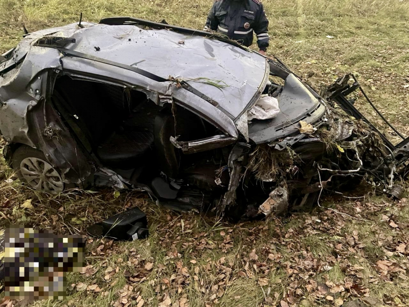 Смертельная авария: в Рязанской области легковушка въехала в столб