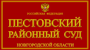 Житель Новгородской области Джаббаров намеренно сбил земляка своим автомобилем