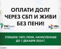 Жителям Ярославской области спишут пени при оплате электроэнергии через СБП