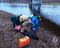 Заплыв в ледяной воде боровичской Мсты с хэппи эндом