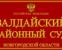 В Валдае суд вынес приговор женщине за насилие, учинённое в отношении сотрудницы полиции