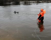 водолазы