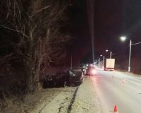 В Тамбовской области водитель иномарки врезался в дерево и погиб
