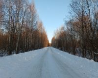 В Родниках на дороге двух крупных районов сделают освещение