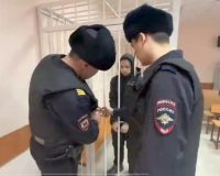 Молодой человек из Великого Новгорода обвиняется в травле девочки из Уфы