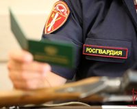 Тульские росгвардейцы изъяли после проверки 24 единицы оружия