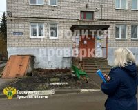В Тульской области после укуса пенсионерки дворнягой начата проверка