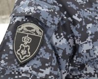 В Тамбове росгвардейцы задержали громившего автомобили вандала