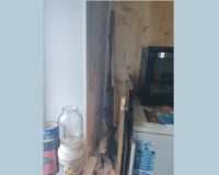 Тамбовчанин застрелил собаку у соседки-заводчицы из-за постоянного лая