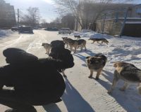 Хабаровск