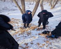 Приморье