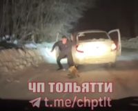 убили лису
