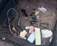 В городе Рязани крыса-погромщица напала на припаркованную у помойки машину