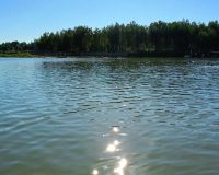 В городе Рязани купальный сезон откроют 1 июня