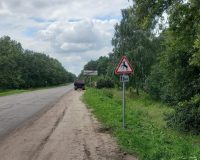 В восьми округах Тамбовщины установили на дороге знаки «Дикие животные»