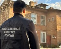 В Новгородской области за покушение на убийство мужа пенсионерке назначен условный срок