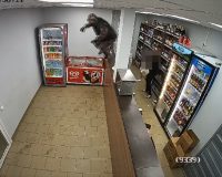 Ниндзя с гранатой по-кохомски