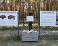 Окский заповедник временно закрыт для посещения из-за высокой пожарной опасности