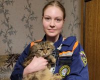«Прыг-скок — и в ловушку»: в Рязани спасли кошку-экстремалку, решившуюся на прыжок с четвёртого этажа