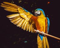 ilona-frey-0ukyrkcoutm-unsplash01333979023
