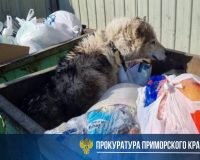 Приморье