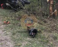 дтп квадроцикл