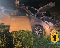 Мужчина и ребенок пострадали в ДТП с лосем.