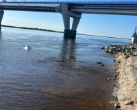 Амурская область
