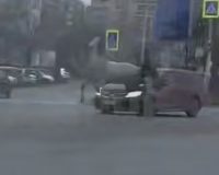 лошадь дтп