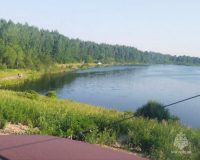 Амурская область
