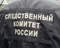 В Новгородской области скованными наручниками руками дебошир пытался задушить полицейского