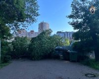 дерево упало на коляску