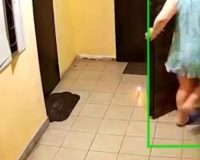 неадекватная соседка