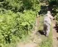 зверя ищут для отстрела