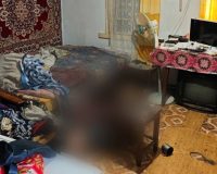 собака нашла убийцу за 10 минут