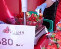 цена, клубника