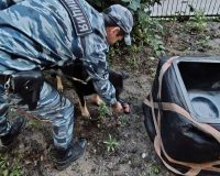 опасная находка