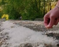 Наказывают ли у нас вредителей за поджог травы?
