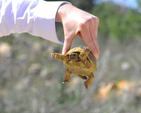 Жестокость людей не знает границ. Во всех смыслах