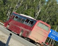 дпт два автобуса