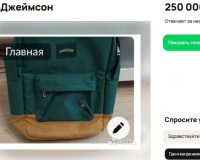 рюкзак на 250 млн