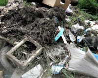 Суд запретил эксплуатацию полигона твердых бытовых отходов в Чудовском районе