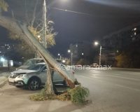 упали деревья