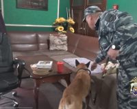 Из новгородской сауны – на скамью подсудимых